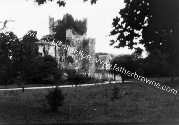 TINTERN ABBEY TOWER & CHANCEL FROM N.E.